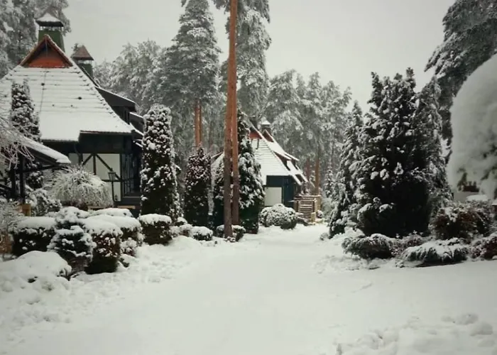 Matija Lux Konaci ズラティボール